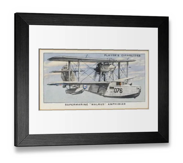 Framed Print : Supermarine Walrus Framed Print : Supermarine Walrus