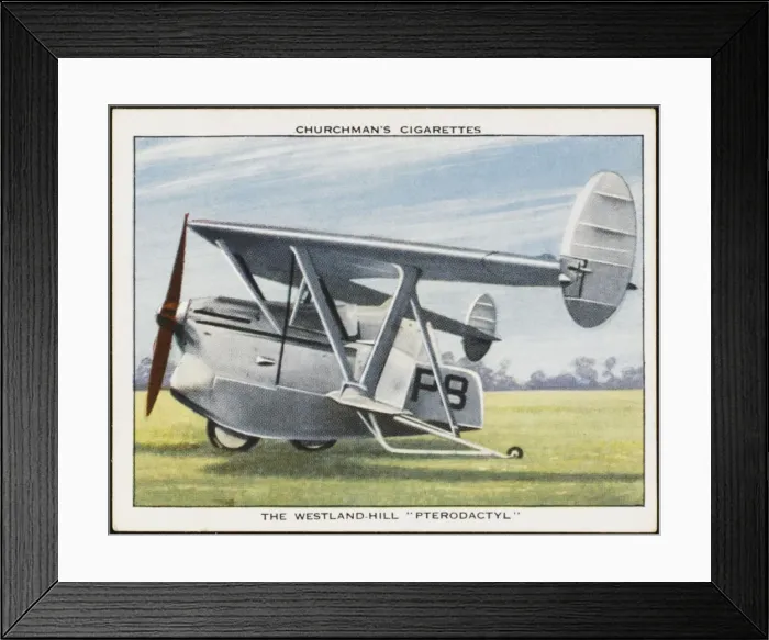 Framed Print : Westland Pterodactyl
