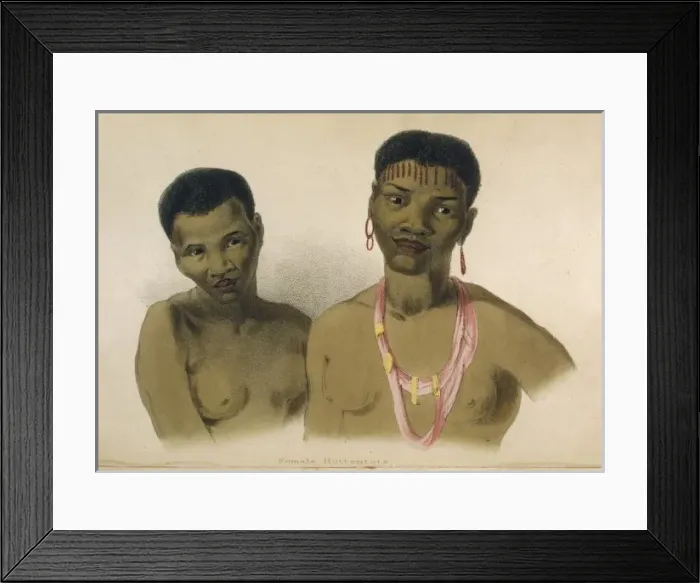 Framed Print : Racial / s Africa / Hottento Framed Print : Racial / s Africa / Hottento
