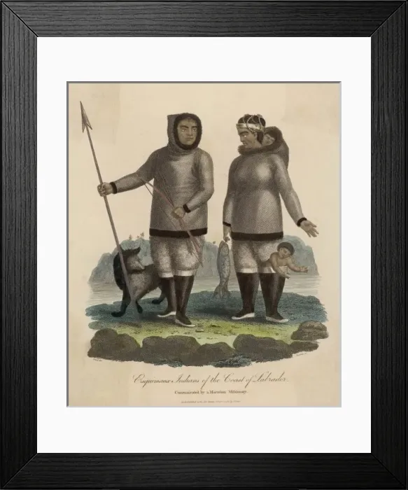 Framed Print : Racial / Eskimo / Labrador Framed Print : Racial / Eskimo / Labrador