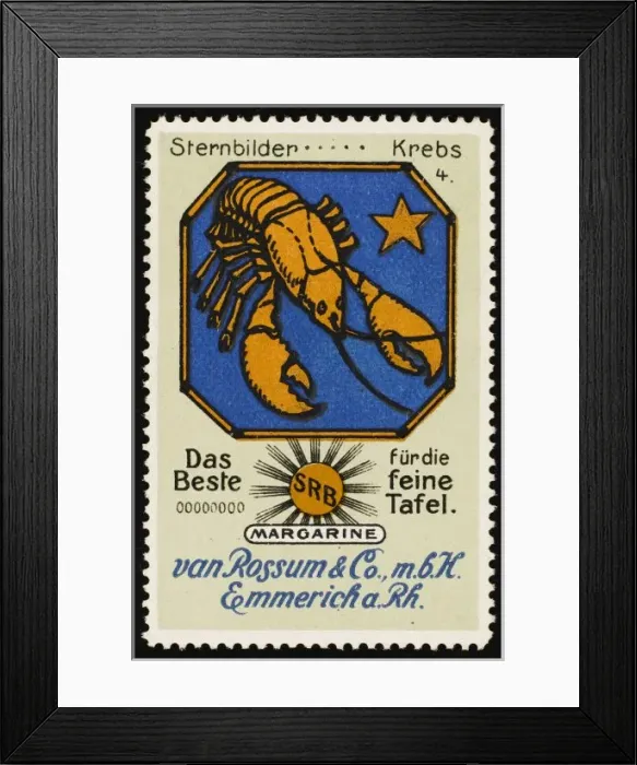 Framed Print : Cancer (Rossum) Framed Print : Cancer (Rossum)