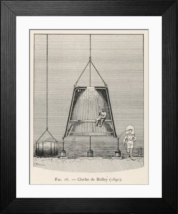 Framed Print : HALLEYs BELL - 2 Framed Print : HALLEYs BELL - 2