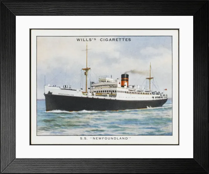 Framed Print : Newfoundland Steamer Framed Print : Newfoundland Steamer