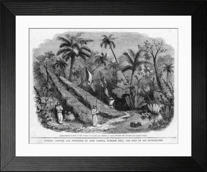 Framed Print : Panama Feasibility Stud Framed Print : Panama Feasibility Stud