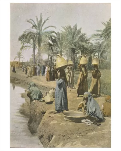 Nile at Bedrechin