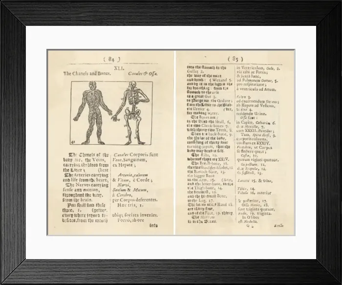 Framed Print : Diagram of Body / 1658 Framed Print : Diagram of Body / 1658