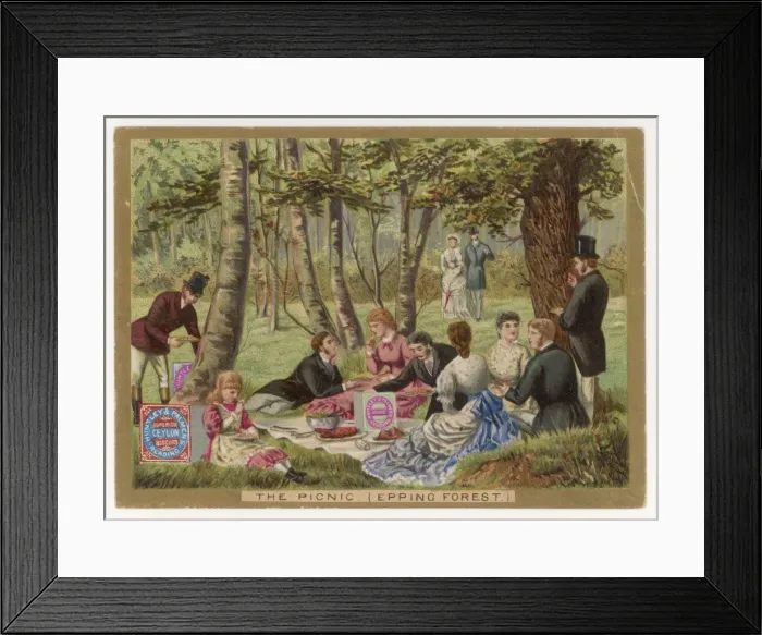 Framed Print : Picnic with Biscuits Framed Print : Picnic with Biscuits