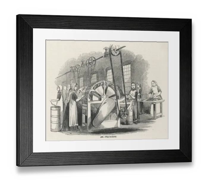 Framed Print : Flax Heckling Framed Print : Flax Heckling