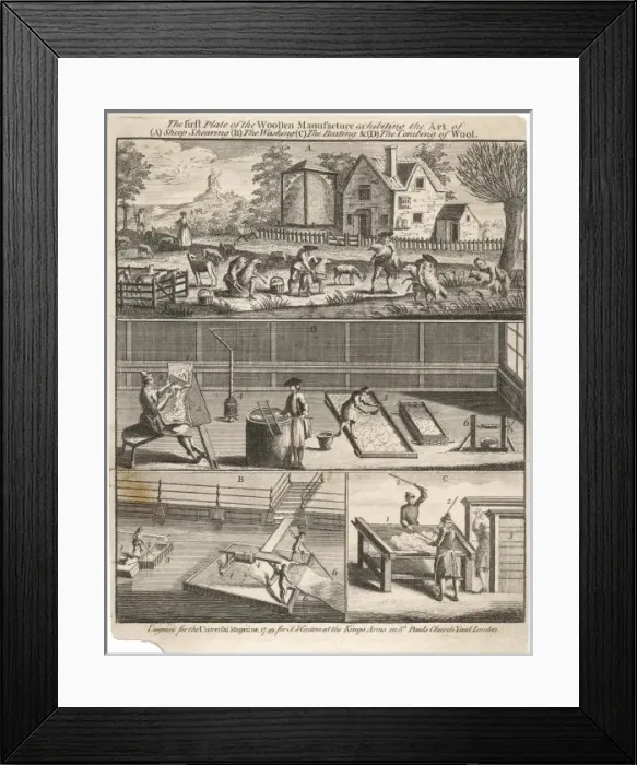 Framed Print : Wool / Early Processes Framed Print : Wool / Early Processes
