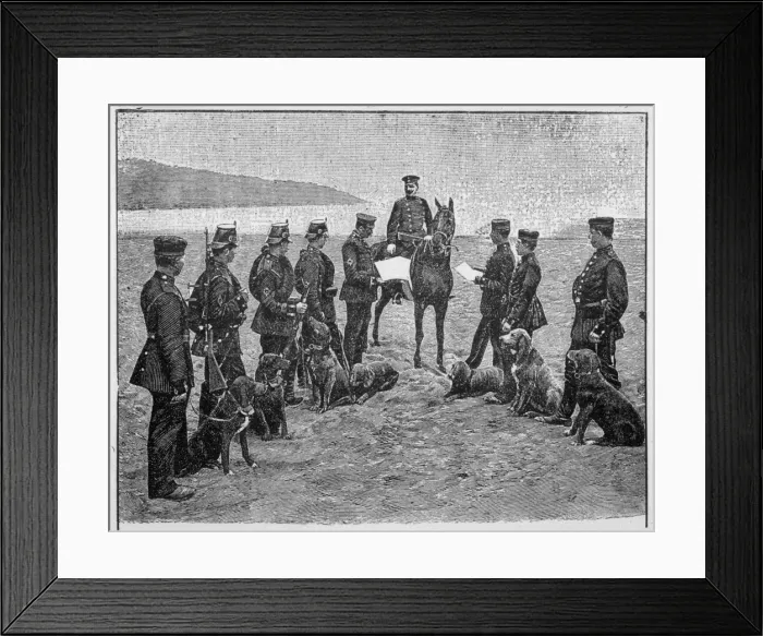 Framed Print : German Dogs of War Framed Print : German Dogs of War