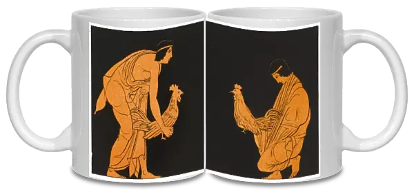 Ancient Greek Cockfight