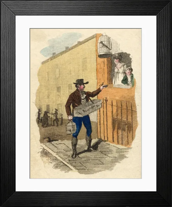 Framed Print : Selling Songbirds / 1804 Framed Print : Selling Songbirds / 1804