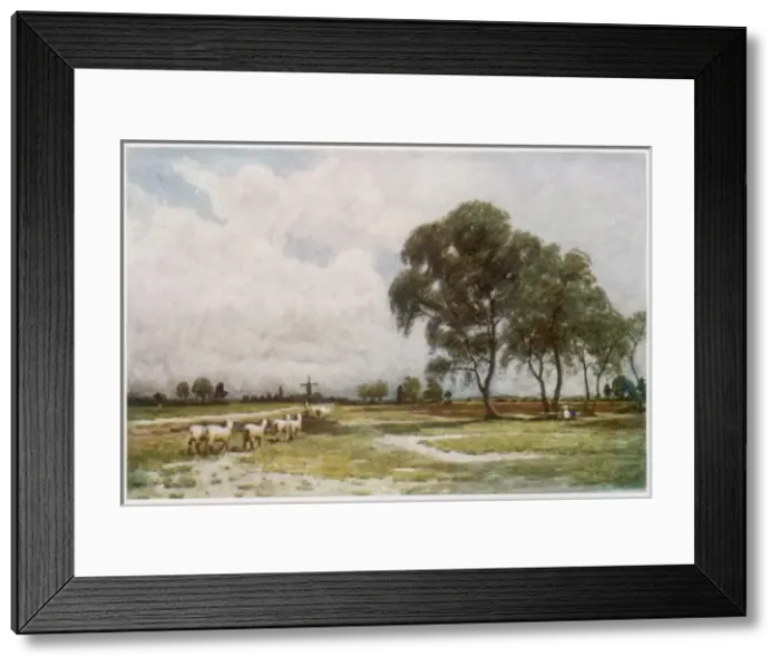Framed Print : Wimbledon Common 1907 Framed Print : Wimbledon Common 1907