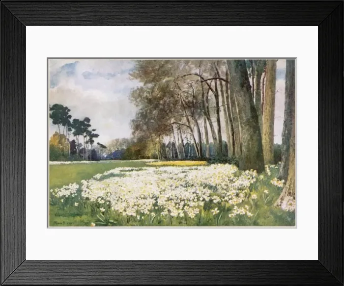 Framed Print : Sandringham / Park 1916 Framed Print : Sandringham / Park 1916