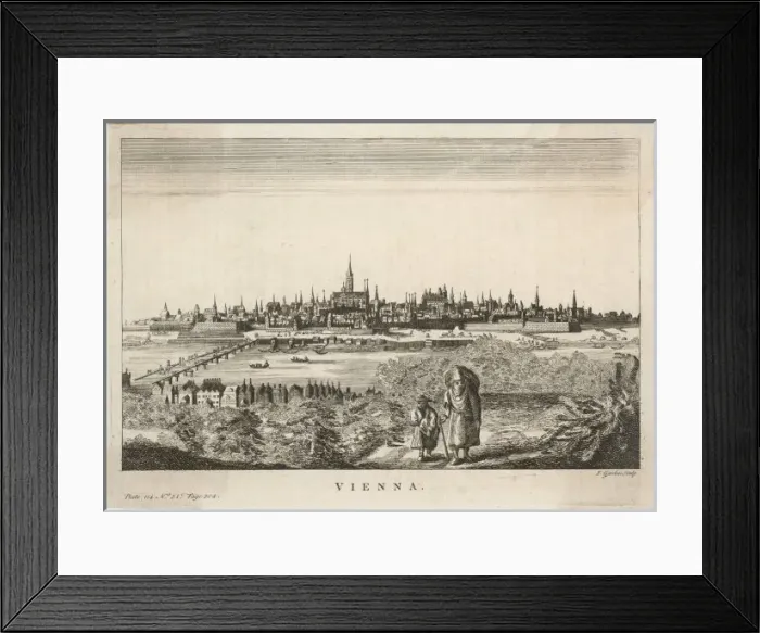 Framed Print : Vienna / Salman / 1750 Framed Print : Vienna / Salman / 1750