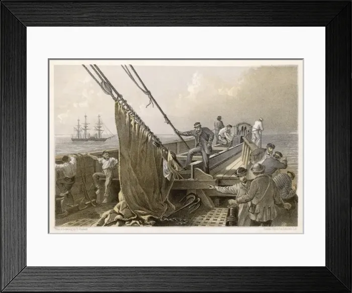 Framed Print : The Cable Lost Framed Print : The Cable Lost