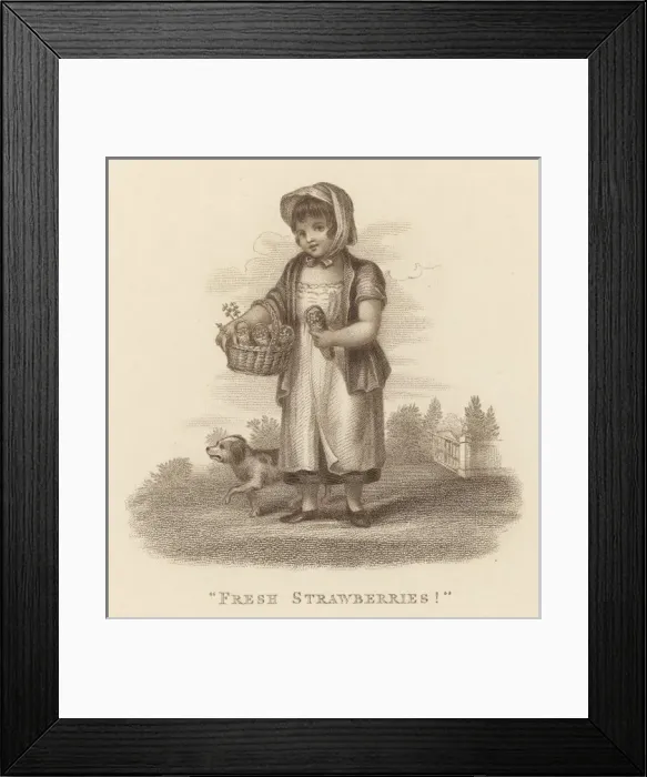 Framed Print : Girl Sells Strawberries Framed Print : Girl Sells Strawberries