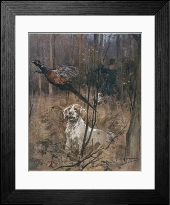 Framed Print : Pheasant Shooting, Old Framed Print : Pheasant Shooting, Old