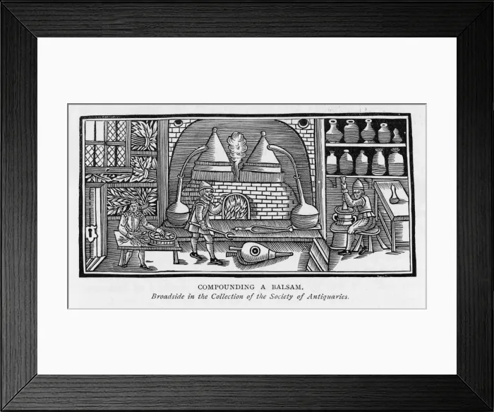 Framed Print : Compounding a Balsam Framed Print : Compounding a Balsam