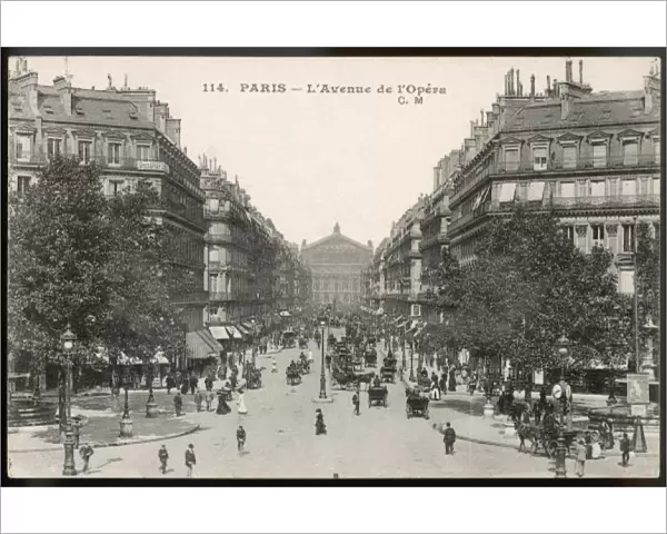 Paris  /  Avenue Opera C1900