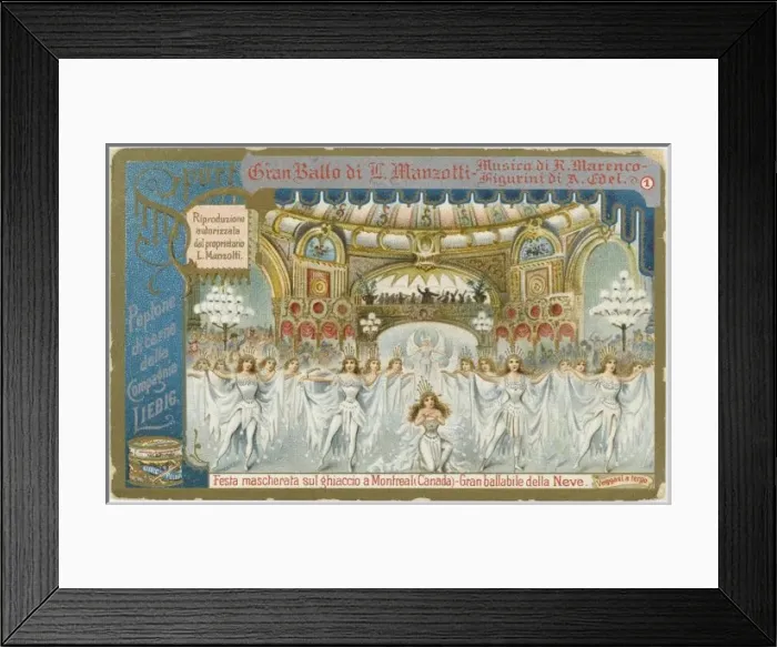Framed Print : Ice Show at Montreal Framed Print : Ice Show at Montreal