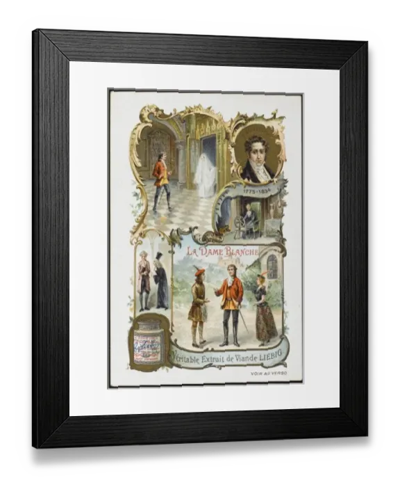 Framed Print : DAME BLANCHE - 3 Framed Print : DAME BLANCHE - 3