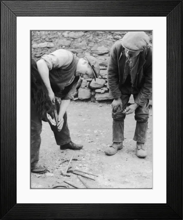 Framed Print : Filing Horses Foot Framed Print : Filing Horses Foot