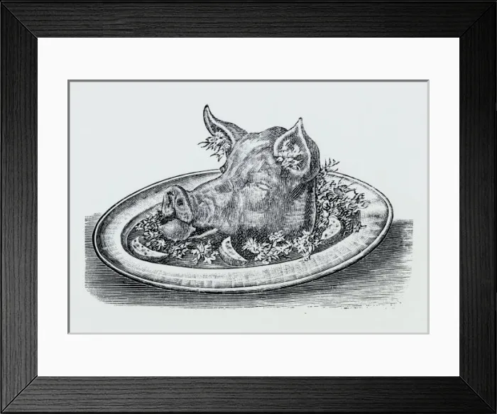 Framed Print : BOARs HEAD Framed Print : BOARs HEAD