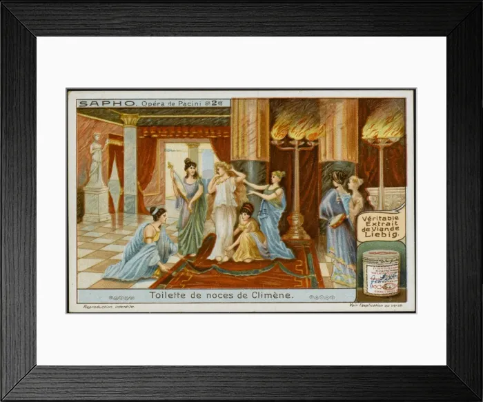 Framed Print : Pacini / Saffo / Liebig 2 Framed Print : Pacini / Saffo / Liebig 2