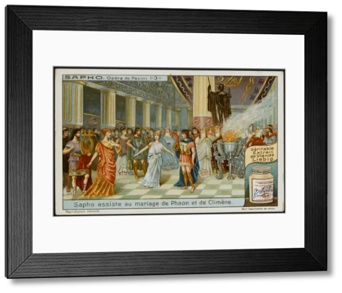 Framed Print : Pacini / Saffo / Liebig 3 Framed Print : Pacini / Saffo / Liebig 3