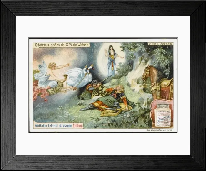 Framed Print : Weber / Oberon / Liebig 1 Framed Print : Weber / Oberon / Liebig 1