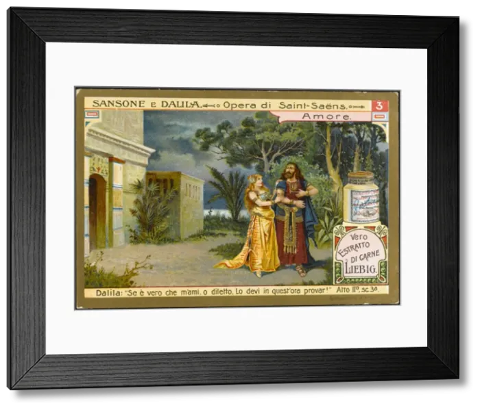 Framed Print : Saint Saens / Samson / Lieb3 Framed Print : Saint Saens / Samson / Lieb3