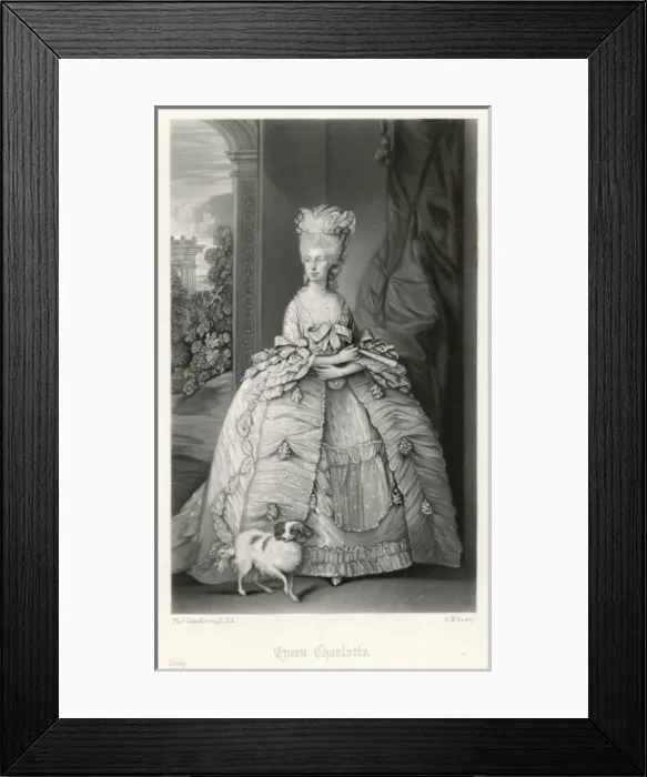 Framed Print : Queen Charlotte / Every Framed Print : Queen Charlotte / Every