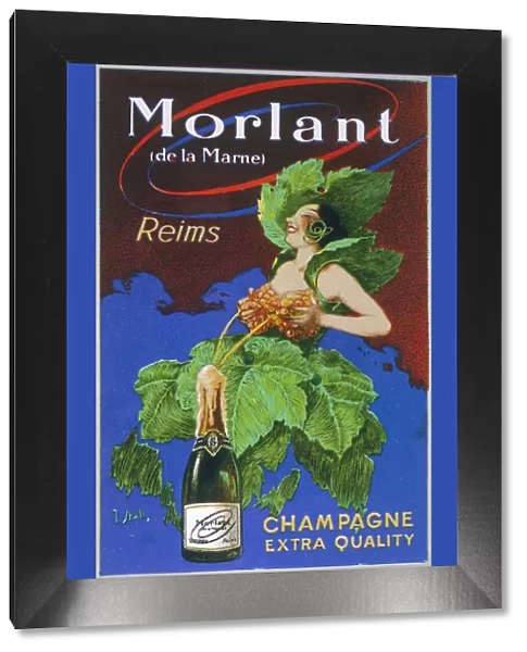 Advert  /  Morlant Champers