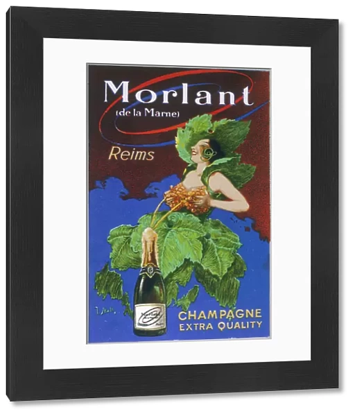 Advert  /  Morlant Champers