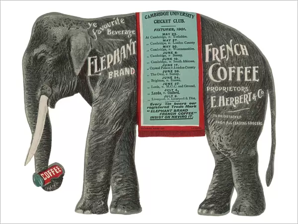 Advert  /  Elephant Coffee
