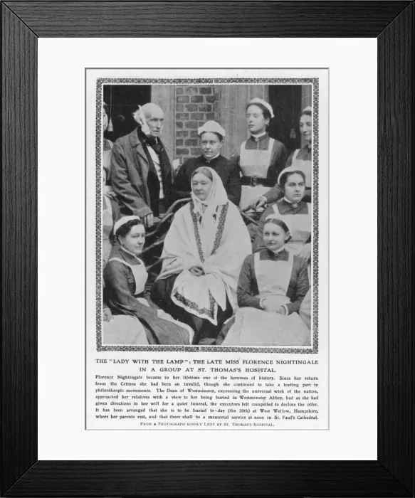Framed Print : Nightingale in Last Year Framed Print : Nightingale in Last Year