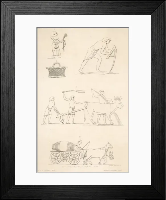 Framed Print : Ancient Egypt Farming Framed Print : Ancient Egypt Farming