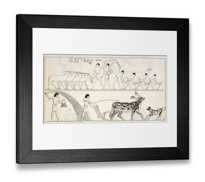Framed Print : Ancient Egypt Farming Framed Print : Ancient Egypt Farming