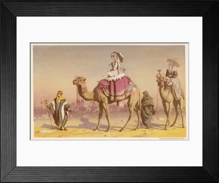 Framed Print : Tourists on Camels 1869 Framed Print : Tourists on Camels 1869