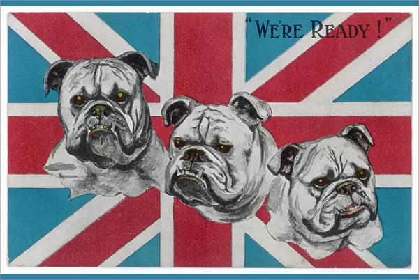Ww1 Postcard Bulldogs