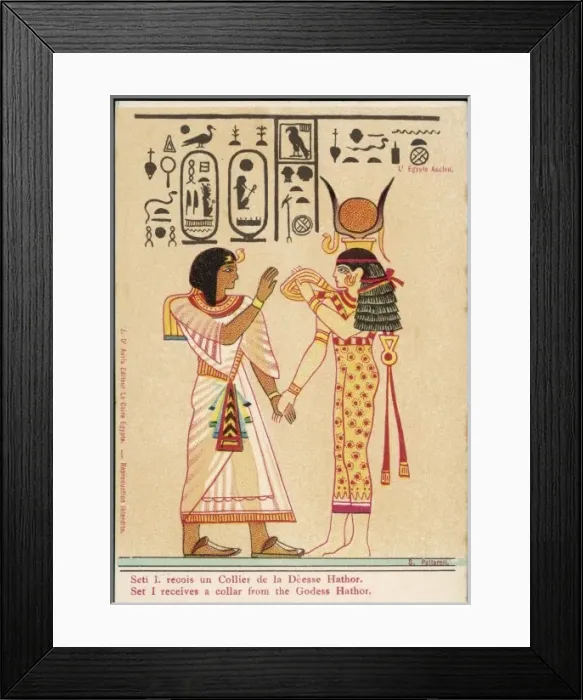 Framed Print : Seti Receives a Collar Framed Print : Seti Receives a Collar
