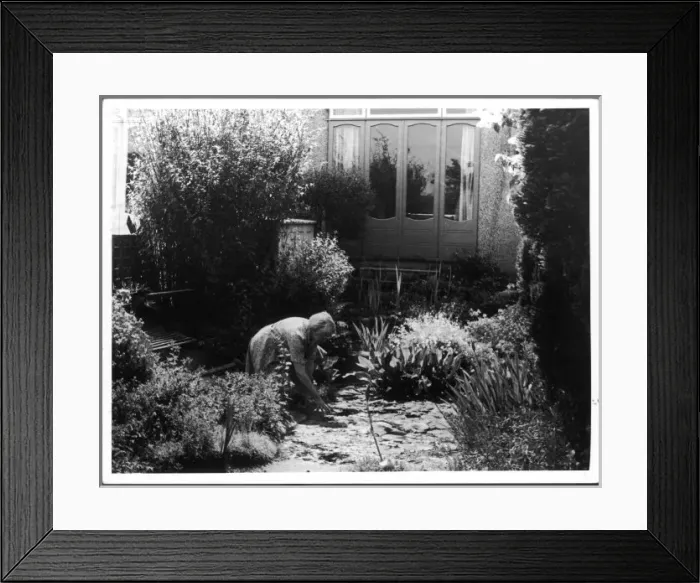 Framed Print : Woman Gardening Framed Print : Woman Gardening