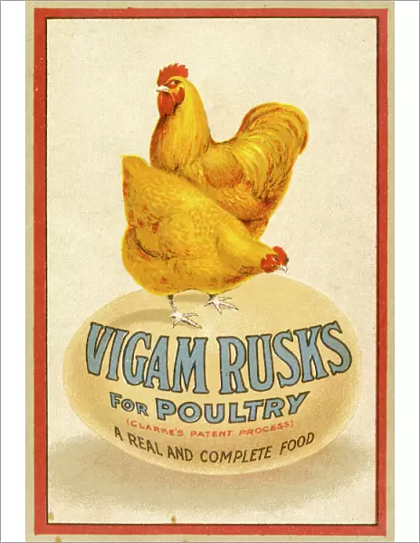 Advert  /  Chicken Feed