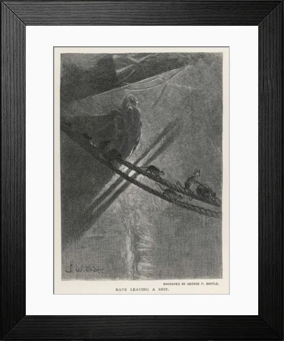 Framed Print : Rats Leaving Ship Framed Print : Rats Leaving Ship
