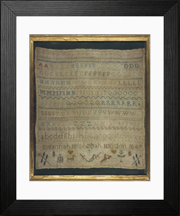Framed Print : C19 Sampler Framed Print : C19 Sampler