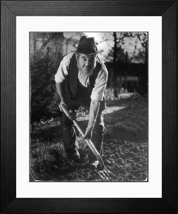 Framed Print : Old Yokel Gardener Framed Print : Old Yokel Gardener
