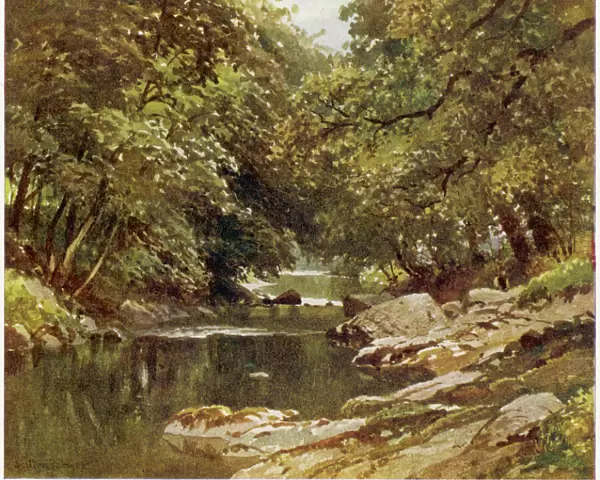 Devon  /  Tavy River 1909