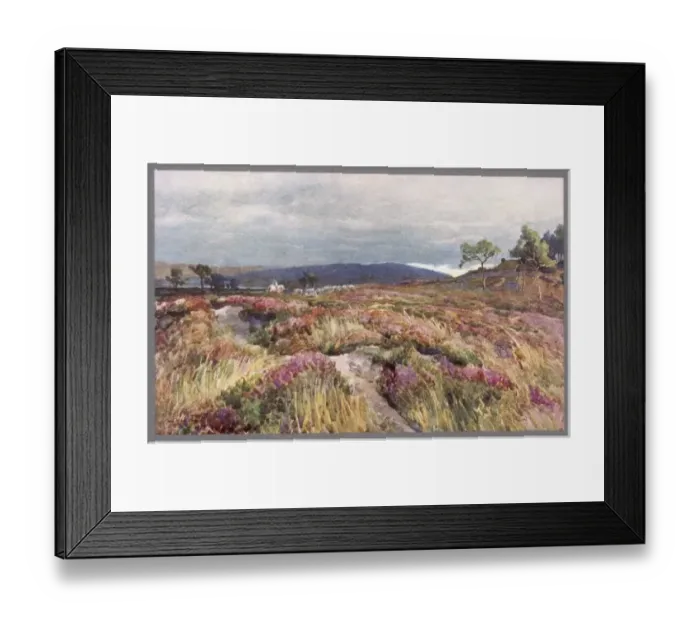 Framed Print : Dorset / Lytchett Minster Framed Print : Dorset / Lytchett Minster