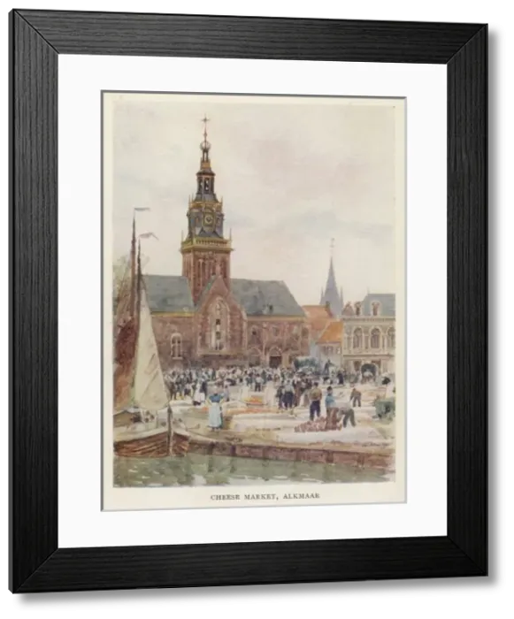 Framed Print : Cheese Market / Alkmaar Framed Print : Cheese Market / Alkmaar